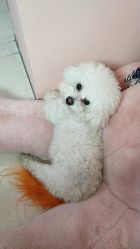 -Pink You美甲美睫纹绣定制中心