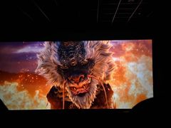 -中影嘉华国际影城(大芬星都里店)