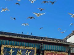 -九华山风景区