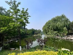 -大兴滨河森林公园