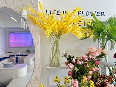 -Blue Concept Cafe&Farm·關於藍