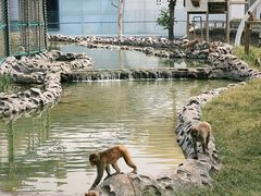 -郑州银基国际旅游度假区