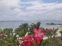 -三亚蜈支洲岛旅游区