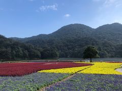 -广州市石门国家森林公园