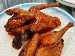 -鸽鸟轩(石岐店)