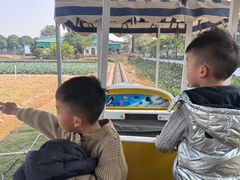 -新地休闲农场