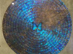 -上海昆虫博物馆