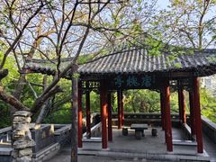 -千佛山风景名胜区