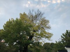 -东湖落雁景区