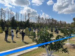 -前小桔亲子创意农场·草莓采摘·露营烧烤