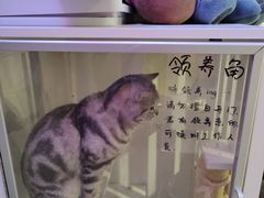 -平行世界·猫咖(首经贸店)