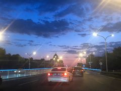 -老红桥炸灌肠牛肚锅烧烤(定福庄店)