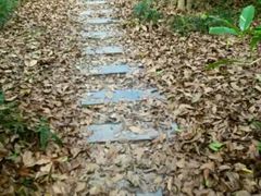 -泰州凤城河风景区-泰山公园