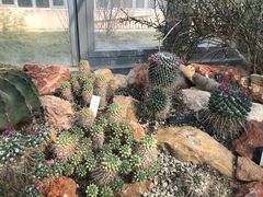 -国家植物园南园