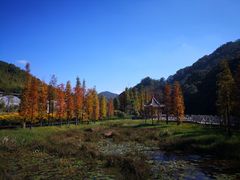 -广州市石门国家森林公园
