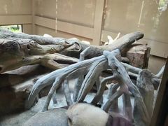 -宁波野生动物园