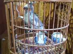 -小吊梨汤·北京菜(香山店)