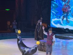 -哈尔滨波塞冬海底世界