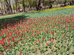 -长春公园(普阳街道)