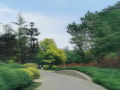-北坞公园