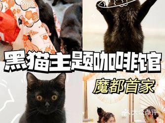 魔都第①家黑猫主题咖啡馆️萌化了！