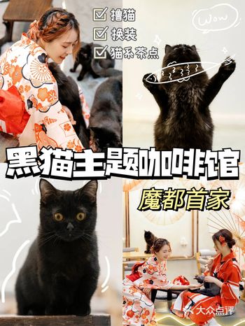 魔都第①家黑猫主题咖啡馆️萌化了！