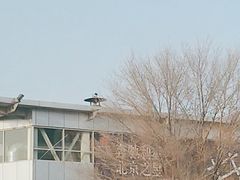 -北京之星奔驰4S店(亦庄店)