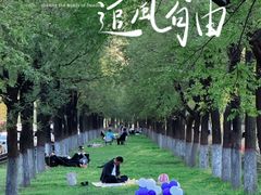 -渭河城市绿地运动公园