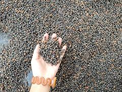 -三江森林温泉度假区