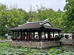 -西湖公园(鼓楼区)