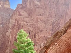 -天山神秘大峡谷