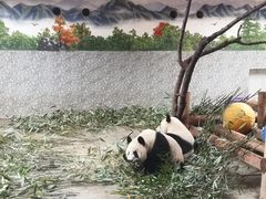 -西安秦岭野生动物园