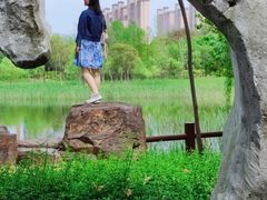 -尚贤河湿地