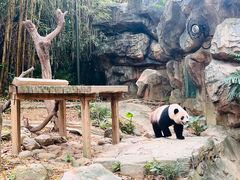 -广州长隆野生动物世界