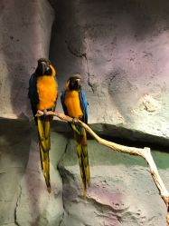 -Zoolung Zoolung动物主题公园(海信广场店)