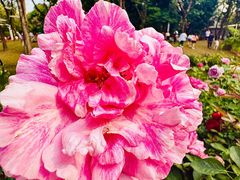 -人民公园(罗湖区)