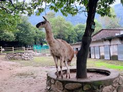 -西安秦岭野生动物园