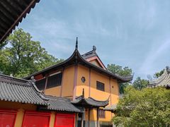 -灵谷景区