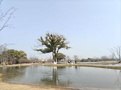 -良渚古城遗址公园