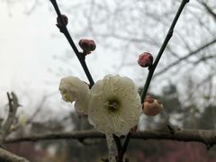 -万达影城(资阳万达广场IMAX店)