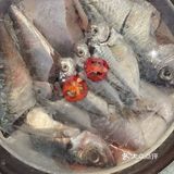 可以吃鱼饭啦潮汕菜