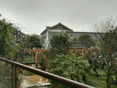 -老幺泉水鸡