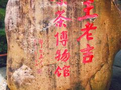 -广州神农草堂中医药博物馆