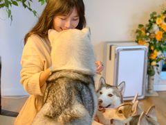 -Husky Go! 哈士奇体验馆·宠物咖啡厅狗咖