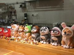 -柴务处·柴犬主题狗咖