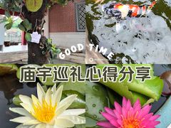 -仙岳公园