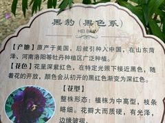 -太阳宫公园