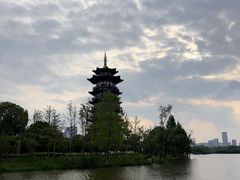 -洋湖国家湿地公园