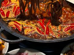 -阳阳老火锅(小南门店)