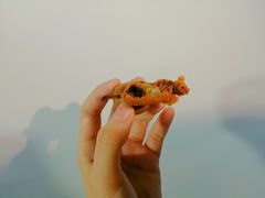 -三厘鸡蛋仔(印力店)